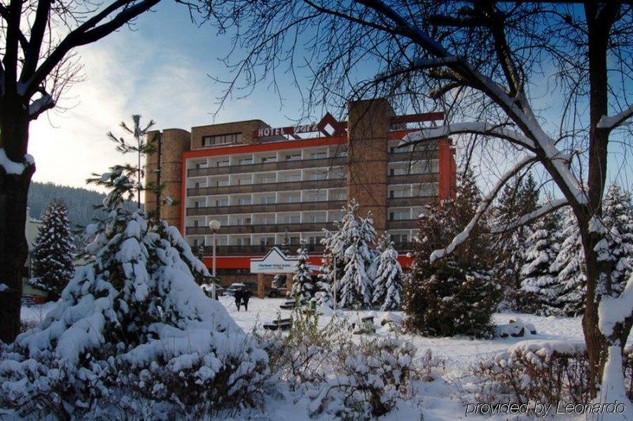 Hotel Park Дольни-Кубин Экстерьер фото